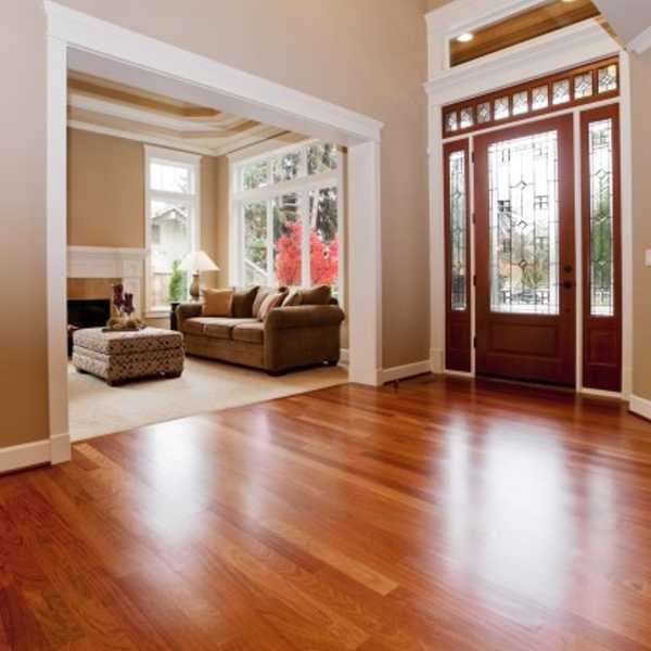 AV-1/H Hygiene Floor Cleaner